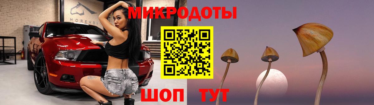 Галлюциногенные грибы GOLDEN TEACHER  Вход с VPN  Мурино  Псилоцибиновые грибы Cubensis 